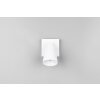 Sharp Spot de plafond Luminaires Trio Blanc, 1 lumière