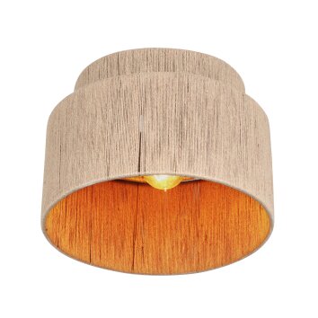 SMILLA Plafonnier Luminaires Trio Beige, 1 lumière