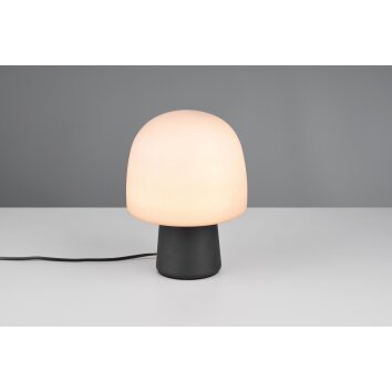 Steen Lampe à poser Luminaires Trio Noir, 1 lumière