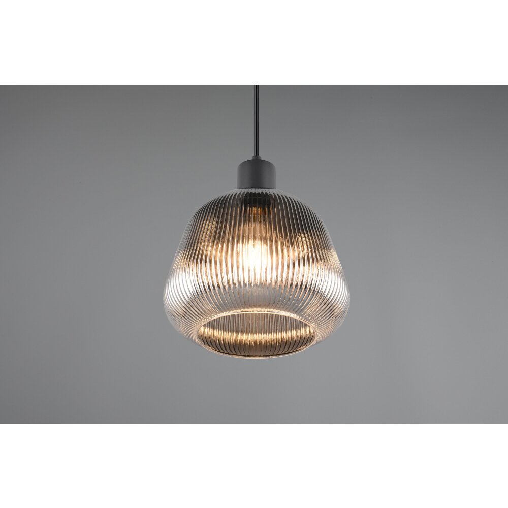 Tarifa Suspension Luminaires Trio Noir, 1 lumière