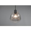 Tarifa Suspension Luminaires Trio Noir, 1 lumière