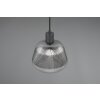 Tarifa Suspension Luminaires Trio Noir, 1 lumière