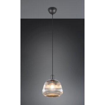 Tarifa Suspension Luminaires Trio Noir, 1 lumière