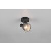 Tarifa Spot de plafond Luminaires Trio Noir, 1 lumière