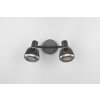 Tarifa Spot de plafond Luminaires Trio Noir, 2 lumières