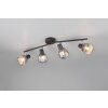 Tarifa Spot de plafond Luminaires Trio Noir, 4 lumières