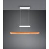 Trajan Suspension Luminaires Trio LED Blanc, 1 lumière