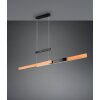 Trajan Suspension Luminaires Trio LED Noir, 1 lumière