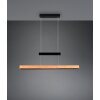 Trajan Suspension Luminaires Trio LED Noir, 1 lumière