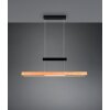 Trajan Suspension Luminaires Trio LED Noir, 1 lumière