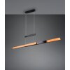 Trajan Suspension Luminaires Trio LED Noir, 1 lumière