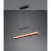 Trajan Suspension Luminaires Trio LED Noir, 1 lumière