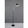 Traveller Lampadaire Luminaires Trio Noir doré, 1 lumière