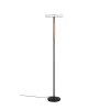 Celeste Lampadaire Luminaires Trio LED Brun, 1 lumière