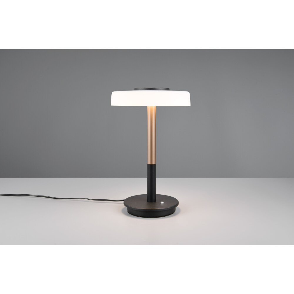 Celeste Lampe à poser Luminaires Trio LED Brun, 1 lumière main product photo