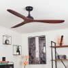 Ventilateur de plafond Follseland Brun, Couleur bois, Noir