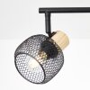 Giada Spot de plafond Luminaires Brilliant Noir, 4 lumières