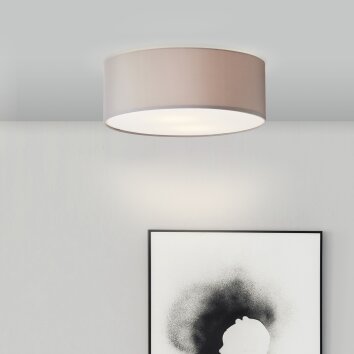 Anneke Plafonnier Luminaires Brilliant Blanc, 2 lumières