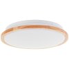 Bario Plafonnier Luminaires Brilliant LED Blanc, 1 lumière