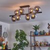 Gastor Plafonnier, Boule lumineuse Fumé, 8 lumières