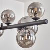 Chehalis Boule lumineuse, Suspension Fumé, 10 lumières