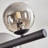 Chehalis Boule lumineuse, Suspension Fumé, 10 lumières