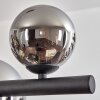 Chehalis Boule lumineuse, Suspension Chrome, Fumé, 10 lumières