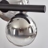 Chehalis Boule lumineuse, Suspension Clair, Fumé, 8 lumières