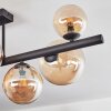 Chehalis Plafonnier, Boule lumineuse Ambre, 8 lumières