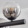 Chehalis Suspension, Boule lumineuse, Suspension Clair, Fumé, 10 lumières