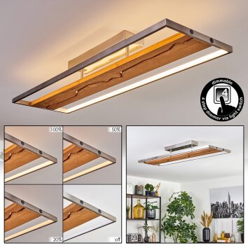 Terre Plafonnier, Spot de plafond LED Écru, Nickel mat, 1 lumière