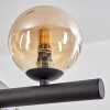 Chehalis Suspension, Boule lumineuse, Suspension Ambre, Fumé, 10 lumières