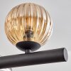 Chehalis Suspension, Boule lumineuse, Suspension Ambre, Fumé, 10 lumières