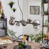 Chehalis Suspension, Boule lumineuse, Suspension Chrome, Clair, Fumé, 8 lumières