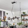Chehalis Suspension, Boule lumineuse, Suspension Chrome, Clair, Fumé, 8 lumières