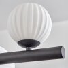 Chehalis Suspension, Boule lumineuse, Suspension Blanc, 10 lumières