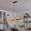 Chehalis Suspension, Boule lumineuse, Suspension Ambre, 8 lumières