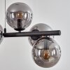 Gastor Suspension, Boule lumineuse, Suspension Fumé, 8 lumières