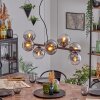 Gastor Suspension, Boule lumineuse, Suspension Clair, Fumé, 8 lumières