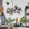 Gastor Suspension, Boule lumineuse, Suspension Clair, Fumé, 8 lumières