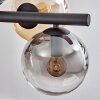 Gastor Suspension, Boule lumineuse, Suspension Ambre, Clair, Fumé, 8 lumières