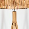 Cando Lampadaire Écru, 1 lumière