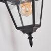 Fornelos Luminaire extérieur, Lampe murale d´extérieur, Applique murale Noir, 1 lumière