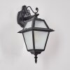 Fornelos Luminaire extérieur, Lampe murale d´extérieur, Applique murale Noir, 1 lumière