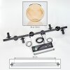 Koyoto Suspension, Boule lumineuse, Suspension Ambre, Fumé, 8 lumières
