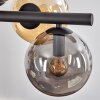 Gastor Suspension, Boule lumineuse, Suspension Ambre, Fumé, 8 lumières