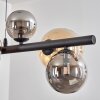 Chehalis Suspension, Boule lumineuse, Suspension Ambre, Fumé, 8 lumières