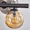 Chehalis Suspension, Boule lumineuse, Suspension Ambre, Fumé, 8 lumières