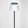 Longchamps Lampadaire LED Noir, 1 lumière