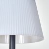 Longchamps Lampadaire LED Noir, 1 lumière